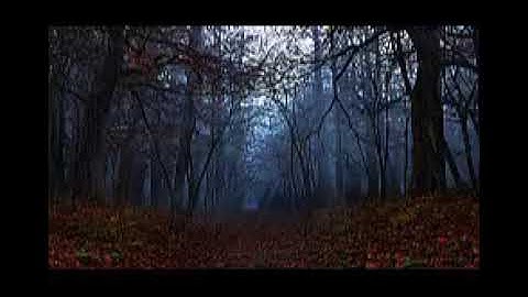 تلاوة جميلة لسورة القلم بصوت القارئ الشاب إسلام صبحي*****