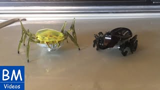 Hexbug Universe | About the Scarab & Rhino Beetle | Our past adventures.