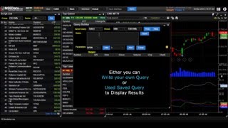 How to use Query Builder to run your own query - NSEData.com