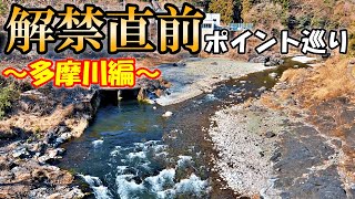 渓流解禁直前！多摩川にポイント偵察に行ってきた