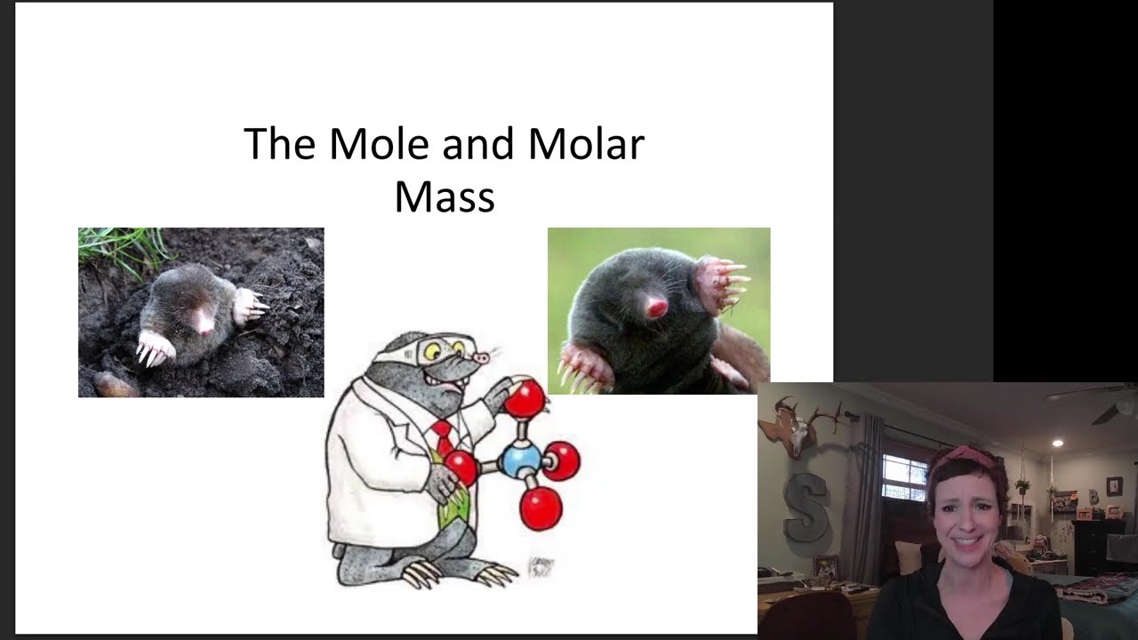 The Mole and Molar Mass