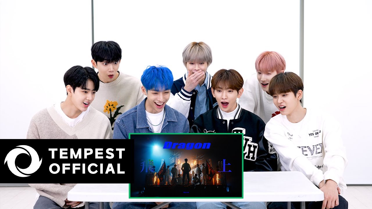 TEMPEST - Dragon(飛上)｜M/V Reaction