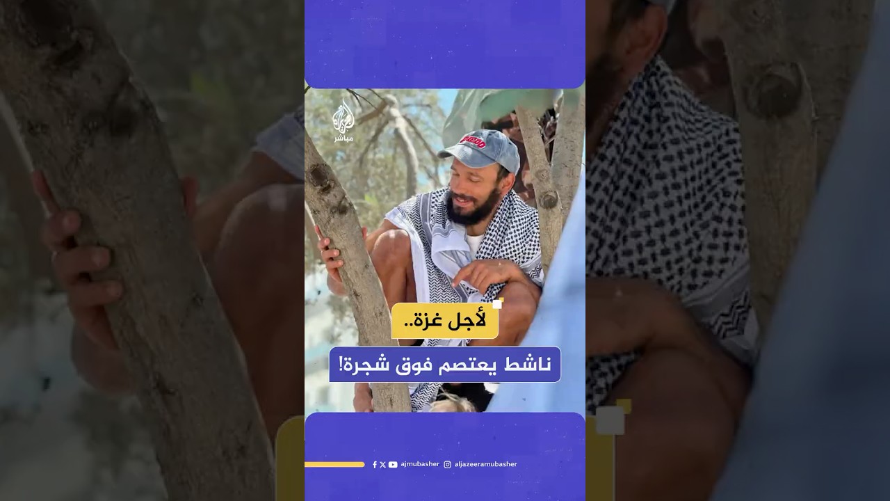 أضرب عن الطعام واكتفى بالماء.. ناشط بريطاني يعتصم فوق شجرة زيتون لمدة 6 أيام تضامنا مع غزة