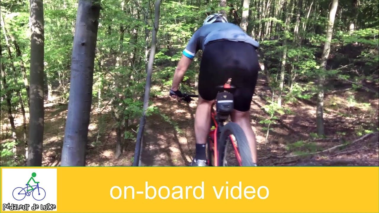 Meerdaalwoud - uitdagendste MTB-route van Vlaanderen? - YouTube