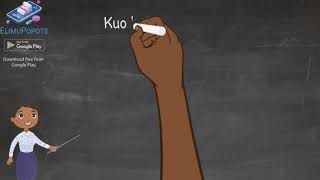 Mandhari ya Lugha: Kuchunguza Nomino za Makundi | ElimuPopote