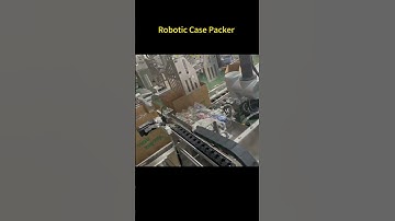 Robotic Case-Packer for household and snack package #casepacker #machine #labeller #snackpacker