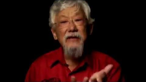 David Suzuki on Human Error (mirrored)