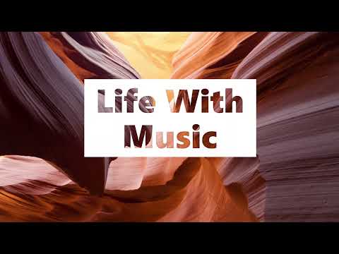 Dance With Music #08 | New Music | Electro Music | Dance Songs | Tobjan - Back To Summer