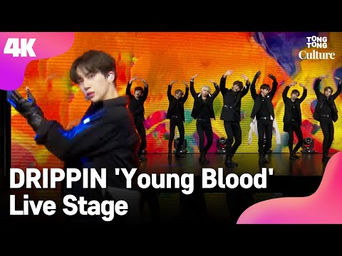 [4K LIVE] DRIPPIN 드리핀 &amp;#39;<strong>Young</strong> Blood&amp;#39; Showcase <strong>Stage</strong> 쇼케이스 무대 (차준호, 황윤성, 김동윤, 이협, 주창욱, 알렉스, 김민서)