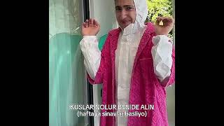 Kuşlar Nolur Benide Alın Öneçıkart Şfetteyiz