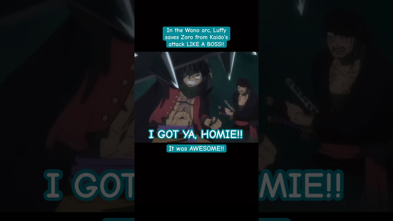 CAPTAIN Luffy Protects his FIRST MATE!! | One Piece Highlights
