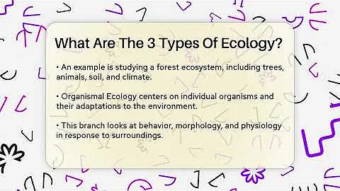 What Are The 3 Types Of Ecology? - Ecosystem Essentials