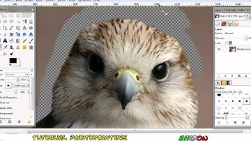 Tutorial Gimp 2.6 - how to change background with eraser tool