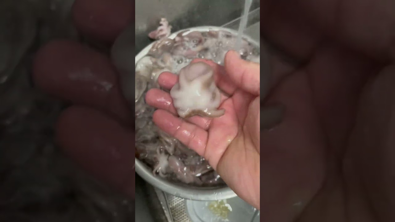 Frozen baby octopus in hot water