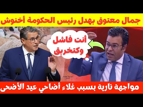 مواجهة نارية بين الدكتور جمال معتوق ورئيس الحكومة عزيز أخنوش حول غلاء أضاحي العيد 