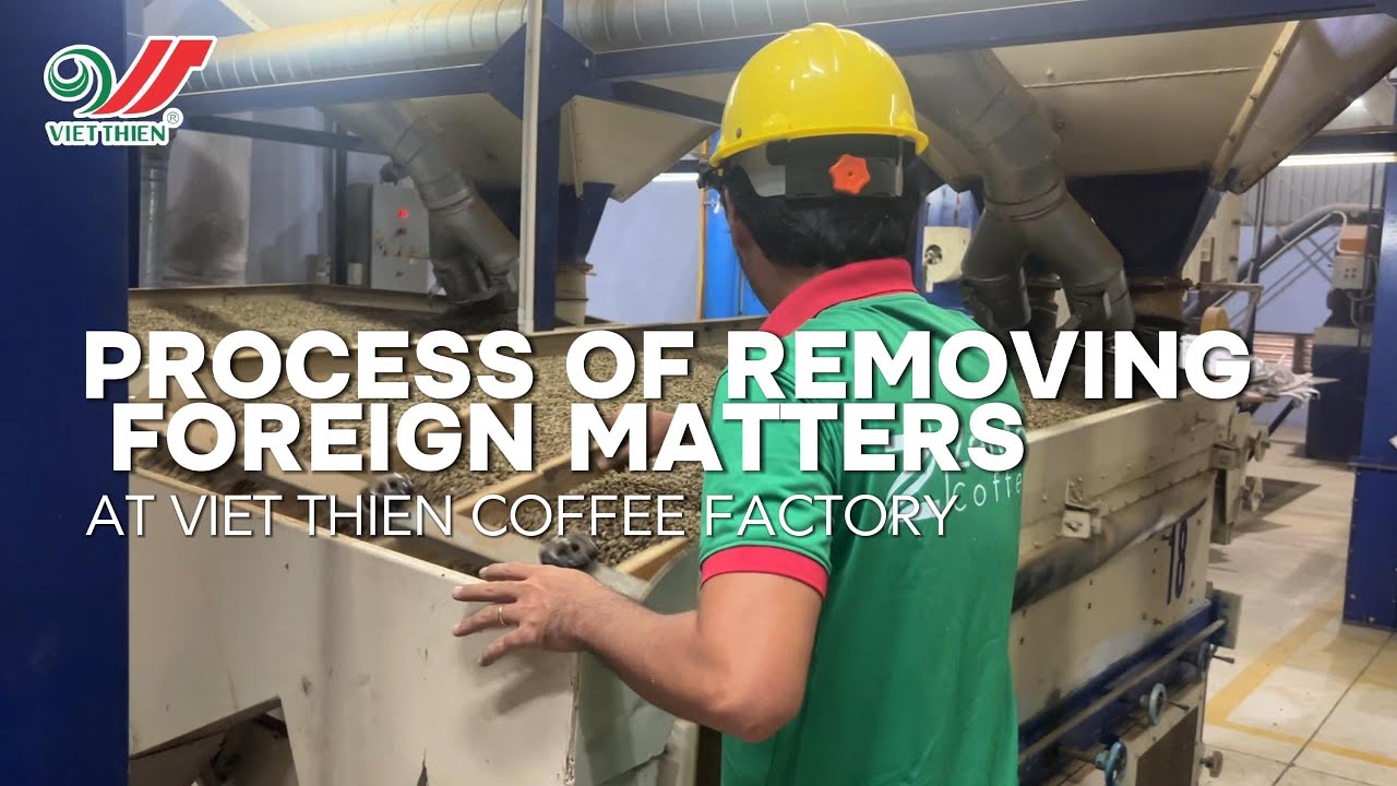 Removing foreign matter in the green coffee beans production process at Viet Thien Coffee Factory