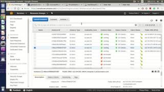 DevOps Milestone 3 - Rolling update