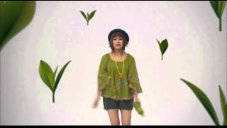 IMARUさん　サンガリア　抹茶いりお茶