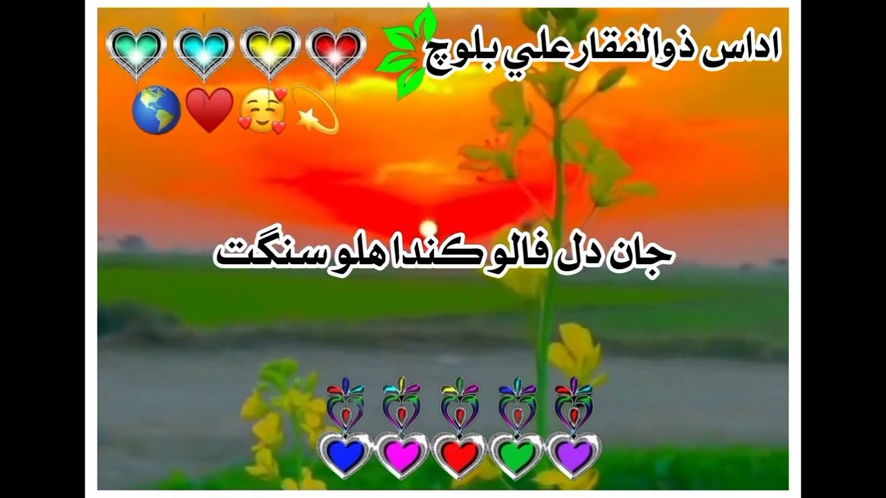 Sindhi sharin new 2025 #viralclips 