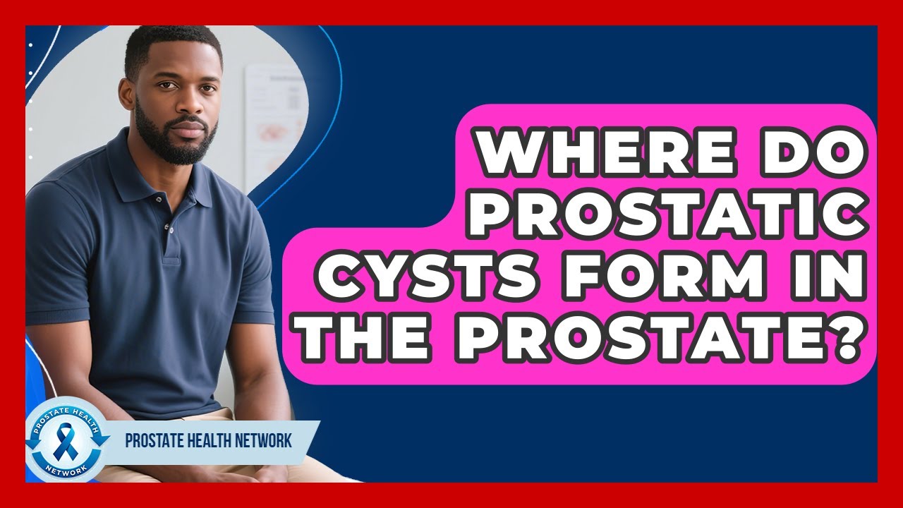Where Do Prostatic Cysts Form In The Prostate? - Prostate Health ...