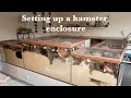 Setting up a hamster enclosure  -  Lotta's enclosure