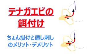 【テナガエビ餌付け】テナガエビの餌は？つけ方は？