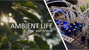 Ambient Life for Eurorack with Morphagene, Mangrove, Plaits and Beads
