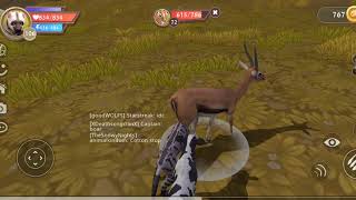 Elephant Battle Failed Hyena Wildcraft Savanna