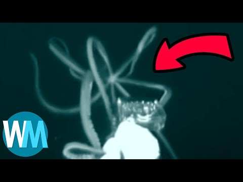 Vidéo: Humanoïdes Sous-marins Très Effrayants - Vue Alternative