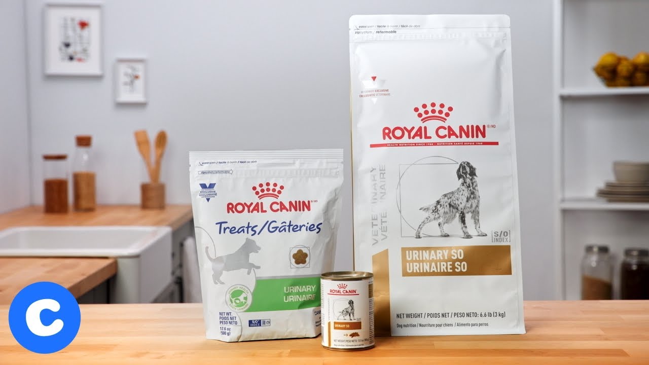 royal canin cat treats urinary