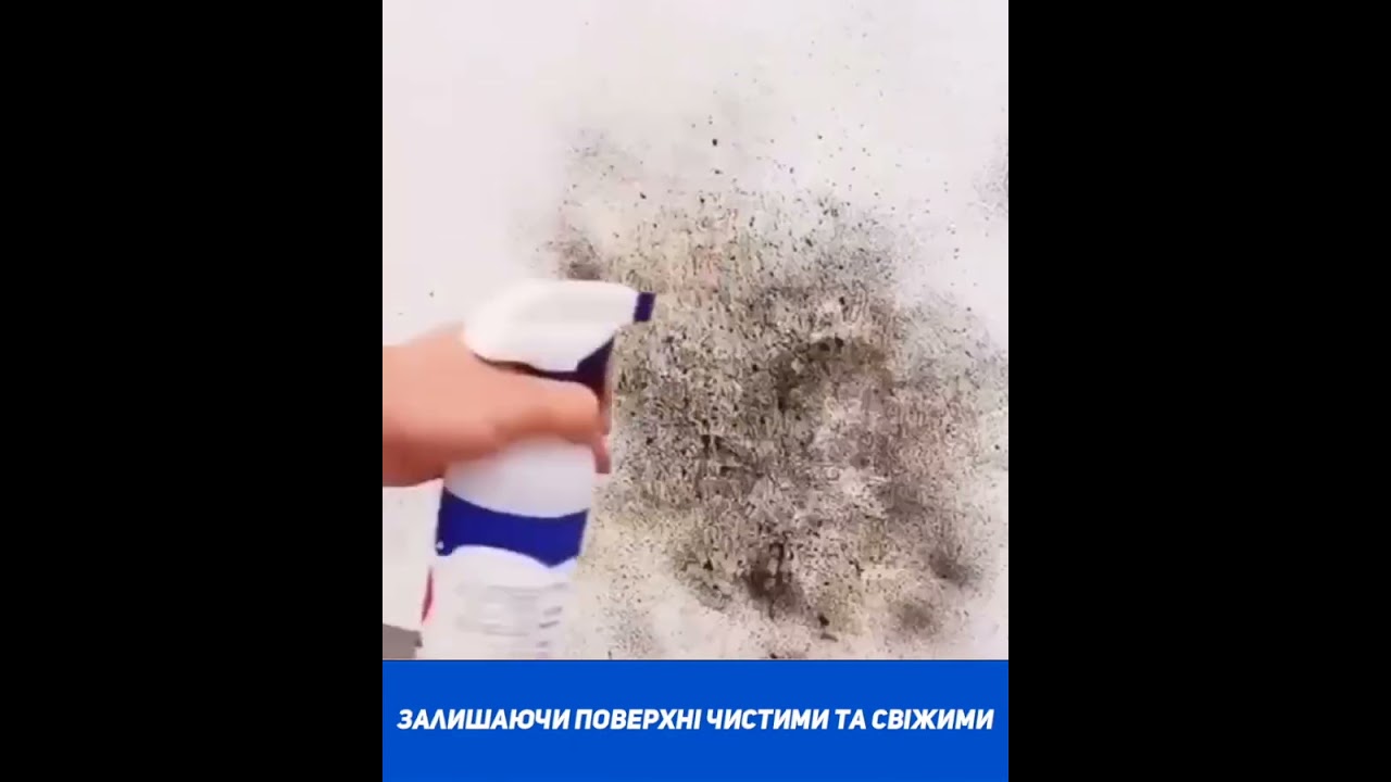 Mold Cleaner