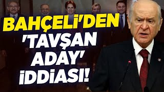 Devlet Bahçeliden Tavşan Aday İddiası Krt Haber