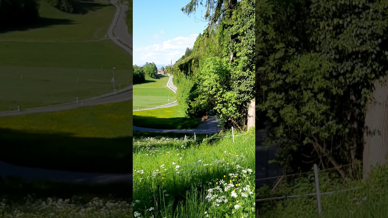 Schellenberg, Liechtenstein 12 Scenic Views - May 29