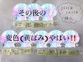 [resin]レジン519＊レジン液検証の3ヶ月後＊