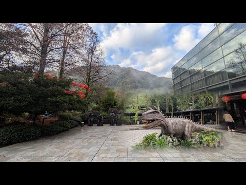 新北三峽 | 大板根森林遊樂園 | 低海拔亞熱帶雨林，大型板根 | 恐龍探索森林