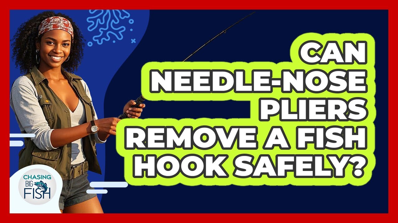Can Needle-Nose Pliers Remove A Fish Hook Safely?