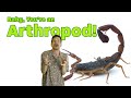 Exoskeletons and Jointed Appendages Quiz