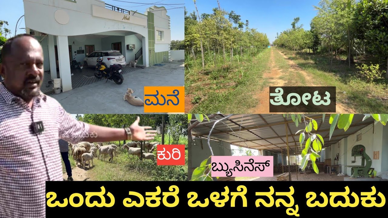 ಇವರ ಒಂದು ಎಕರೆ ಒಳಗೆ ಏನೆಲ್ಲಾ ಇದೆ ಗೊತ್ತಾ... ಮನೆ ತೋಟ ಕುರಿಫಾರ್ಮ್ ಇವರು ಮಾಡುವ ಬಿಸಿನೆಸ್ ಇಷ್ಟೆಲ್ಲಾ ಇದೆ