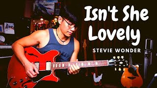 Stevie Wonder - Isn't She Lovely - guitar cover