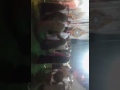حلقة ذكر من مولد السيد البدوى طنطا حلقة ذكر من مولد السيد البدوى طنطا