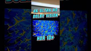 TV Hisense 4K UHD harga bawah RM1000 je!! #hisensetv #uhdtv #home #smarttv