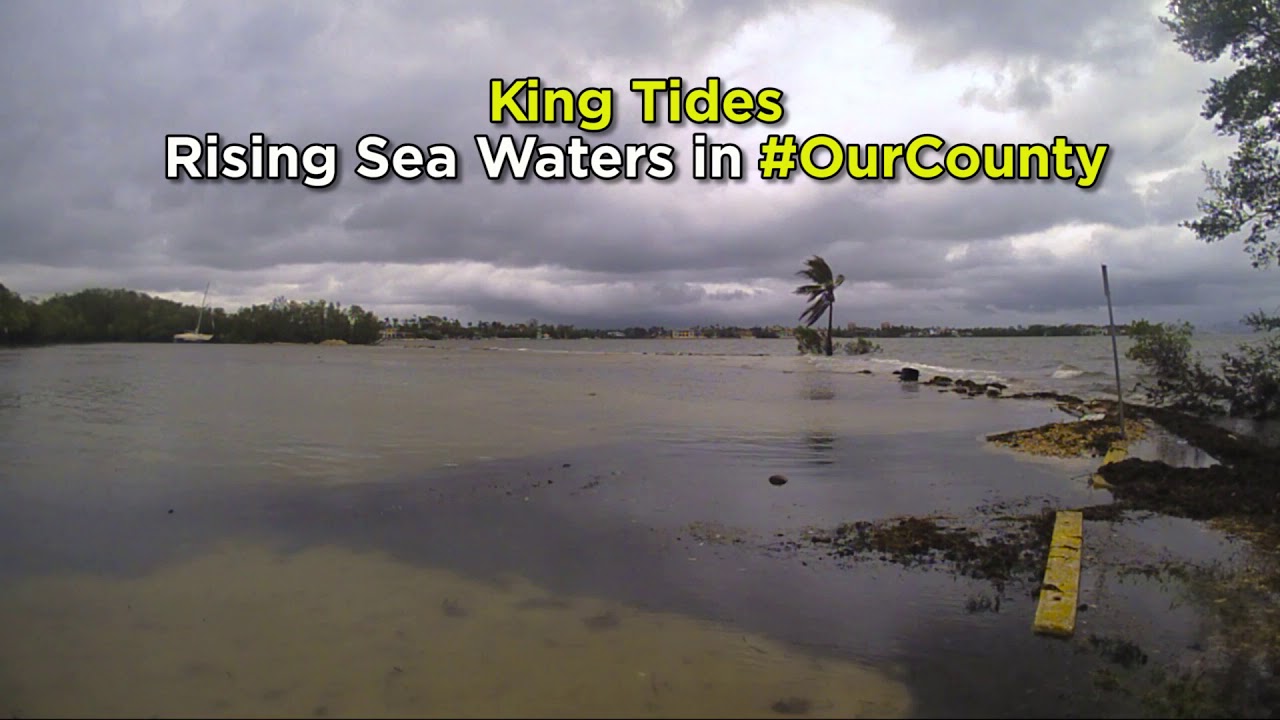 Timelapse of King Tide at Matheson Hammock Park YouTube