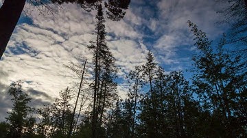 Time Lapse Clouds Blue Sky Green Trees