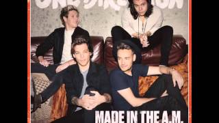 love you goodbye-one direction(audio)