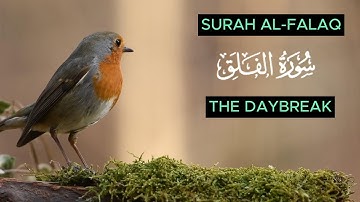 Al-Quran | Surah Al Falaq 7 Times | سورة الفلق | Daybreak I Mishary Rashid |مشاري بن راشد العفاسي