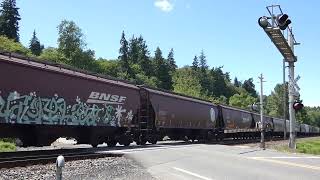 (Northbound) BNSF Empty Grain Train passes through the 52ND Street East Railroad Crossing.