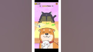 Hide and Seek Cat Escape! Level 43