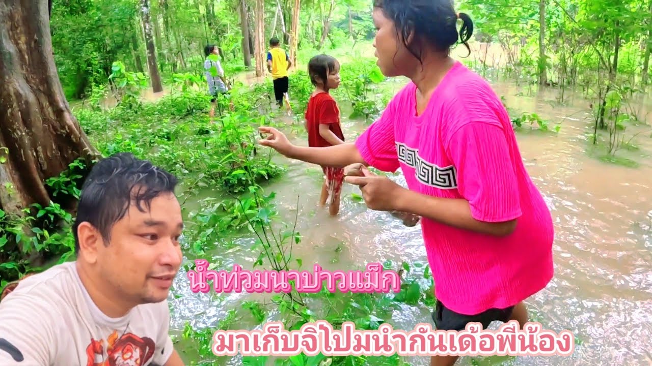 มื้อนี้น้ำท่วมนาบ่าวแม็กไปเก็บที่รอเด้อพี่น้องไปเก็บจิโปมนำกัน30 กรกฎาคม ค.ศ. 2025
