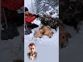أينما وجدت الرحمة وجد الأمل حتى في أبرد بقاع الأرض اكسبلورر Shorts 