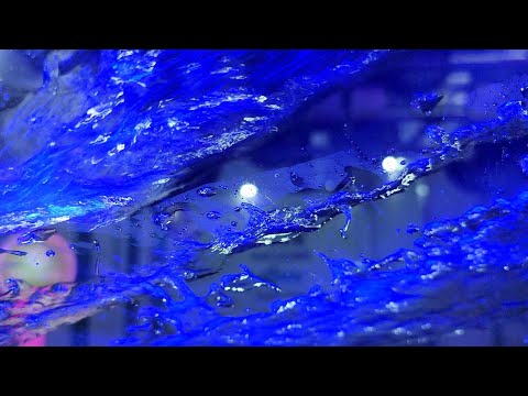 Clean Express Auto Wash Customer Service